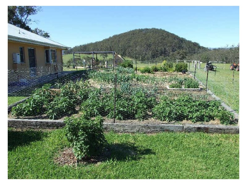 66 Mynora Lane, Cobargo NSW 2550