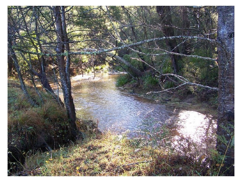 066 Mynora Lane, Cobargo NSW 2550