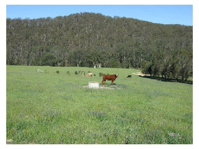 066 Mynora Lane, Cobargo NSW 2550