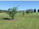 066 Mynora Lane, Cobargo NSW 2550