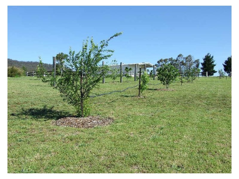 066 Mynora Lane, Cobargo NSW 2550