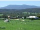 Lot 9 ‘Glencraig’ subdivision/ Brimmers Lane, Cobargo NSW 2550