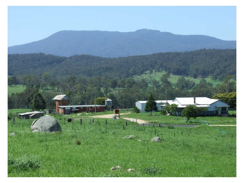Lot 9 ‘Glencraig’ subdivision/ Brimmers Lane, Cobargo NSW 2550
