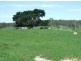 Lot 10 Brimmers Lane, Cobargo NSW 2550