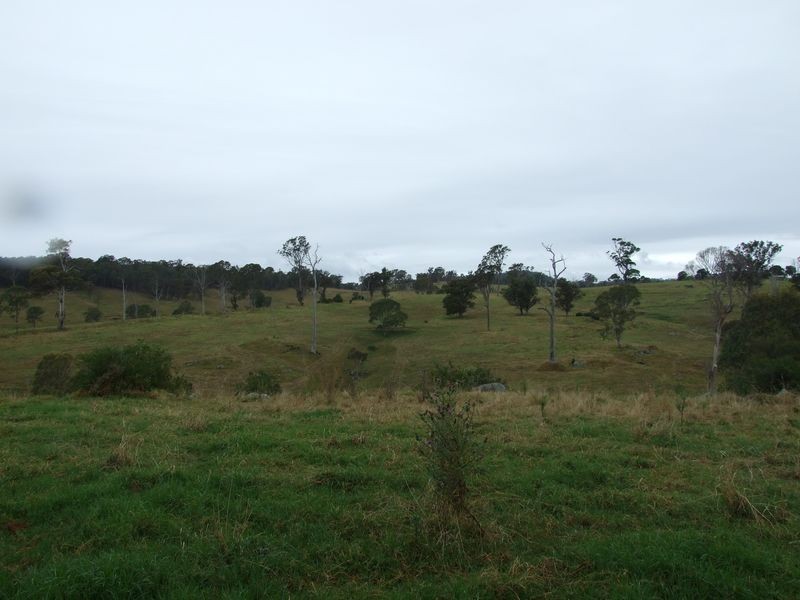 Lot 10 Brimmers Lane, Cobargo NSW 2550