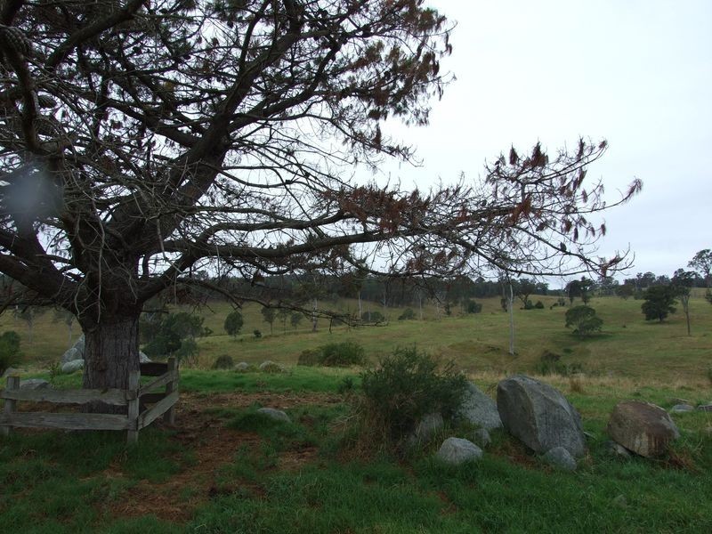 Lot 10 Brimmers Lane, Cobargo NSW 2550