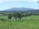 Lot 5 Brimmers Lane, Cobargo NSW 2550