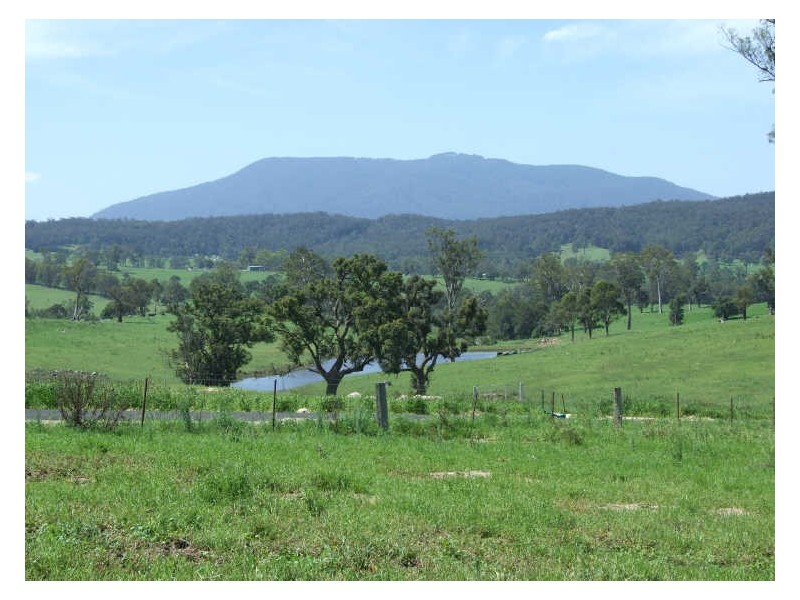 Lot 5 Brimmers Lane, Cobargo NSW 2550