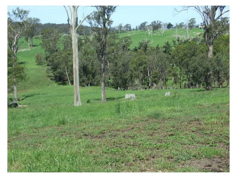 Lot 5 Brimmers Lane, Cobargo NSW 2550
