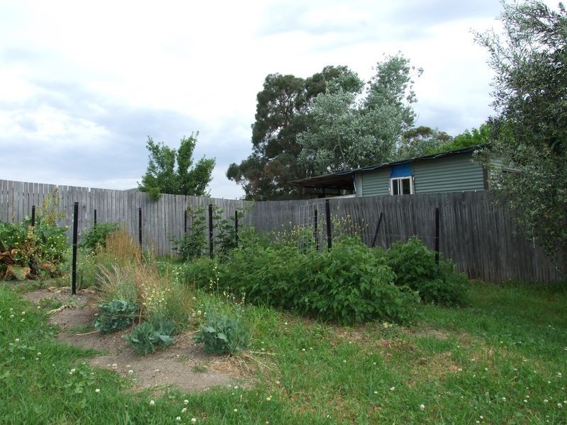 17 Bank Street, Cobargo NSW 2550