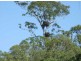 Bega NSW 2550
