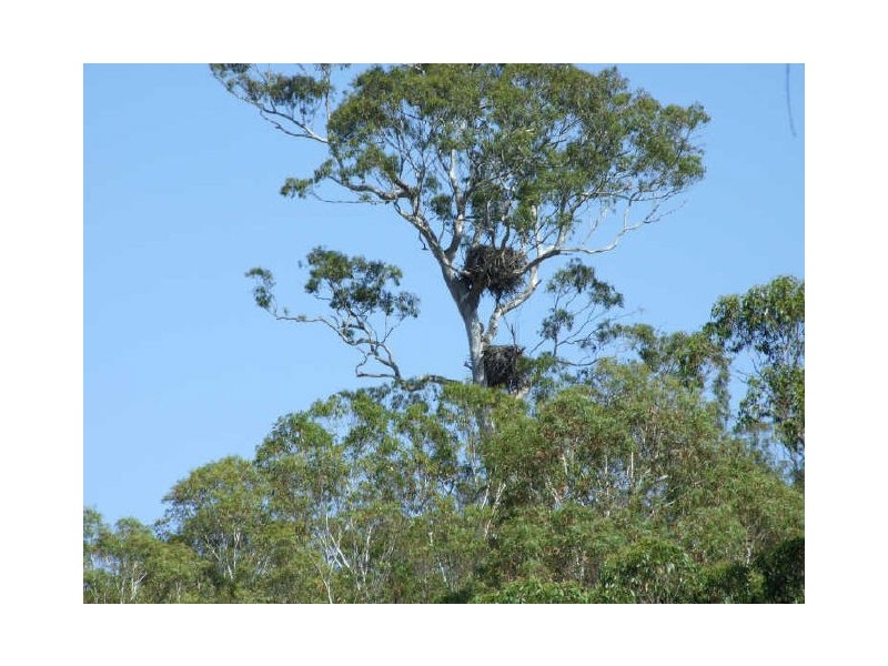 Bega NSW 2550
