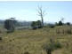 Bega NSW 2550
