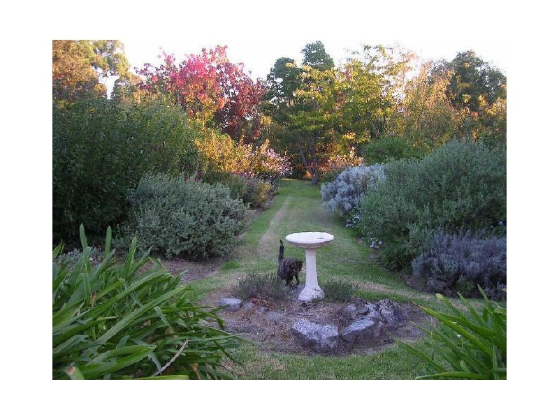 0105 Hore-Lacy Road, Quaama NSW 2550