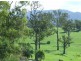 Cobargo NSW 2550