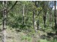 Cobargo NSW 2550