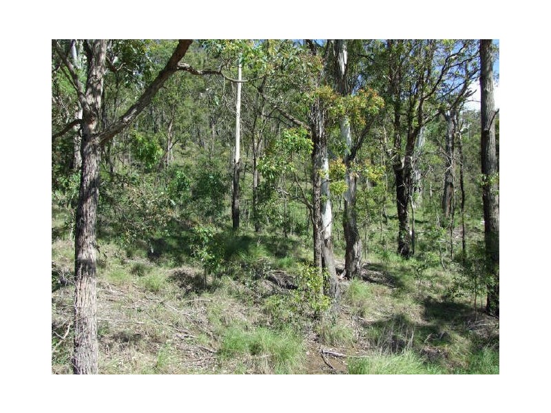 Cobargo NSW 2550