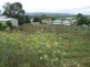 Bega NSW 2550
