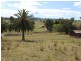 Lot 5434 Mount Pleasant Road, Bega NSW 2550