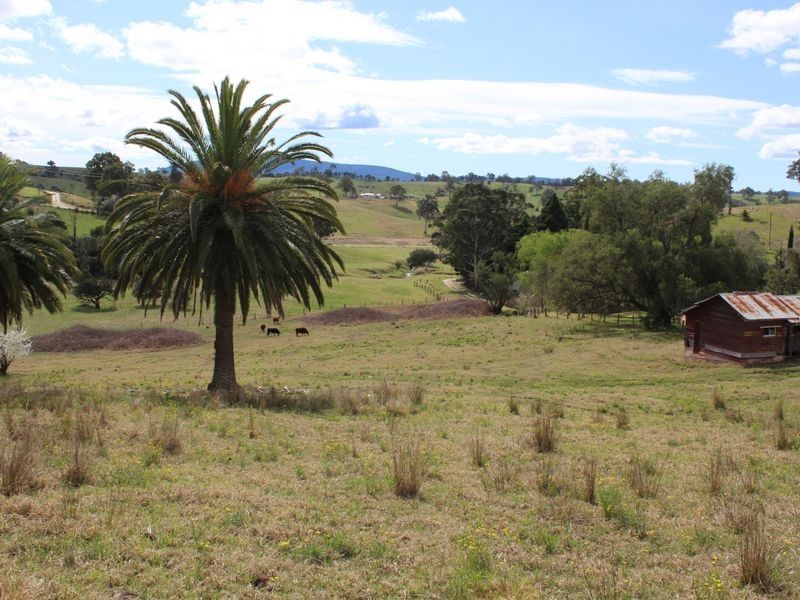 Lot 5434 Mount Pleasant Road, Bega NSW 2550