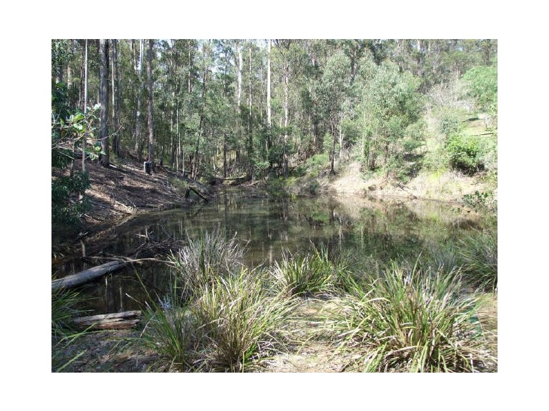 Tanja NSW 2550