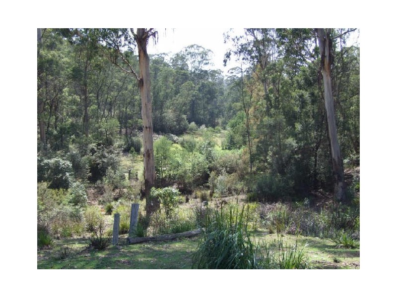 Tanja NSW 2550