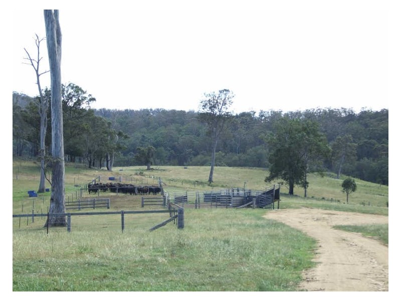 ‘Glencraig Brimmers Lane, Cobargo NSW 2550