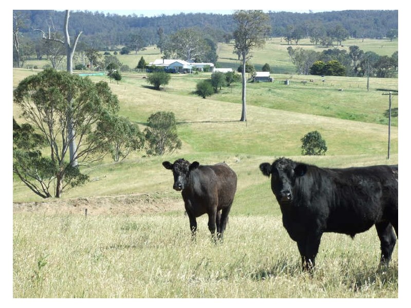 ‘Glencraig Brimmers Lane, Cobargo NSW 2550