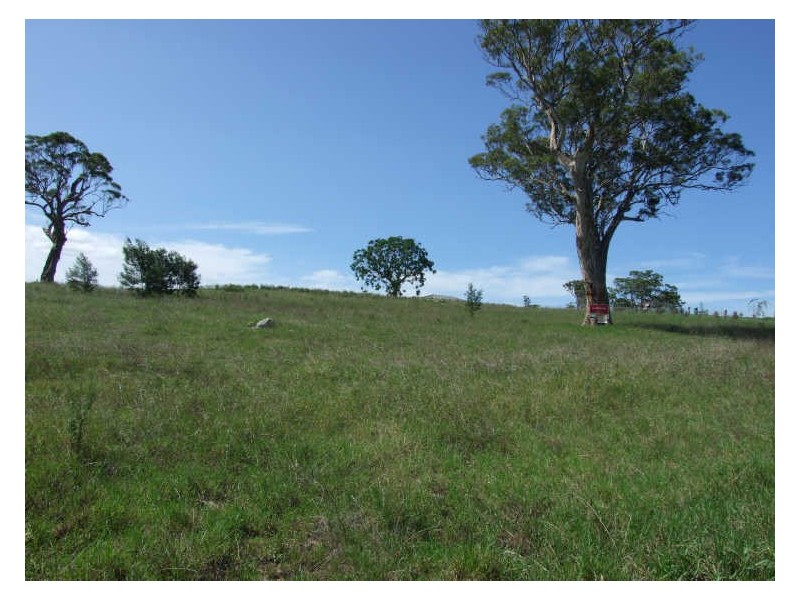 52 Glen Mia Drive, Bega NSW 2550