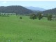 Cobargo NSW 2550
