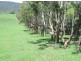 Cobargo NSW 2550