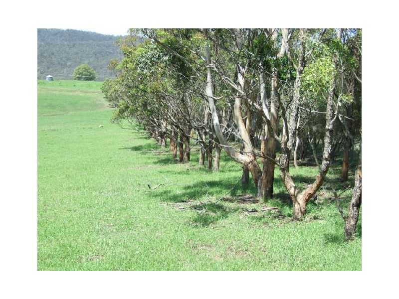 Cobargo NSW 2550