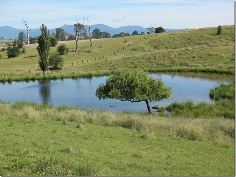 Lot 41 Towridgee Lane, Wolumla NSW 2550