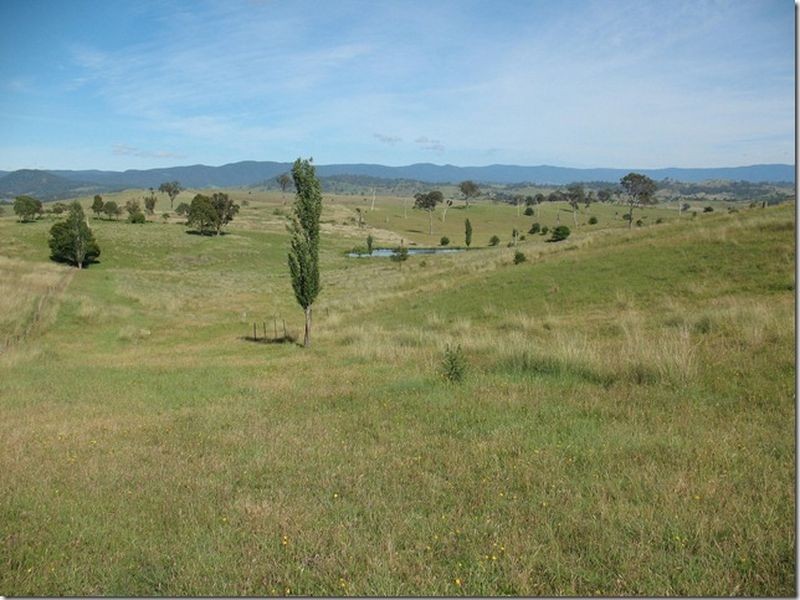 Lot 41 Towridgee Lane, Wolumla NSW 2550