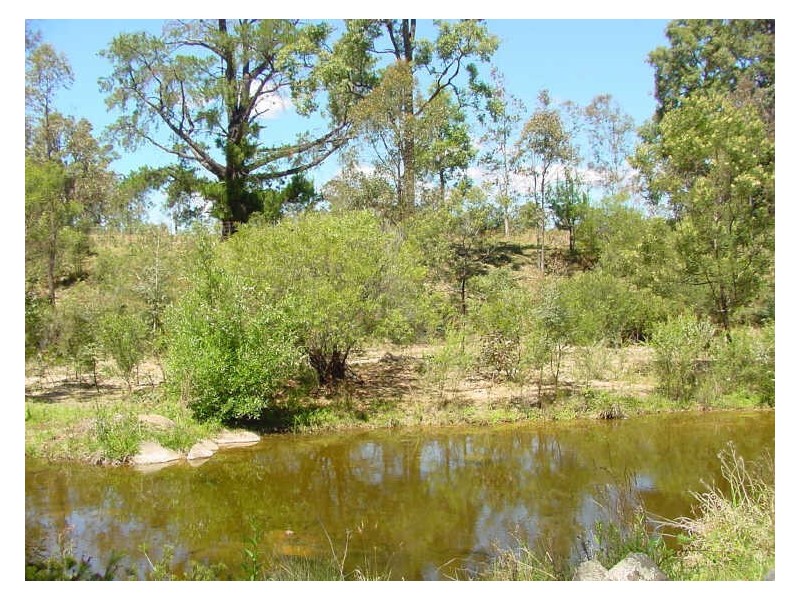 Lot 1 Tantawanglo Lane, Candelo NSW 2550