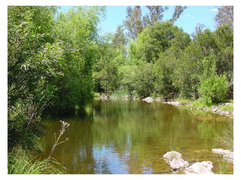 Lot 1 Tantawanglo Lane, Candelo NSW 2550