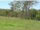 Lot 1 Tantawanglo Lane, Candelo NSW 2550