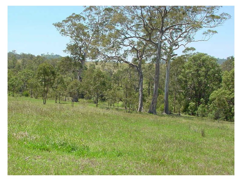 Lot 1 Tantawanglo Lane, Candelo NSW 2550