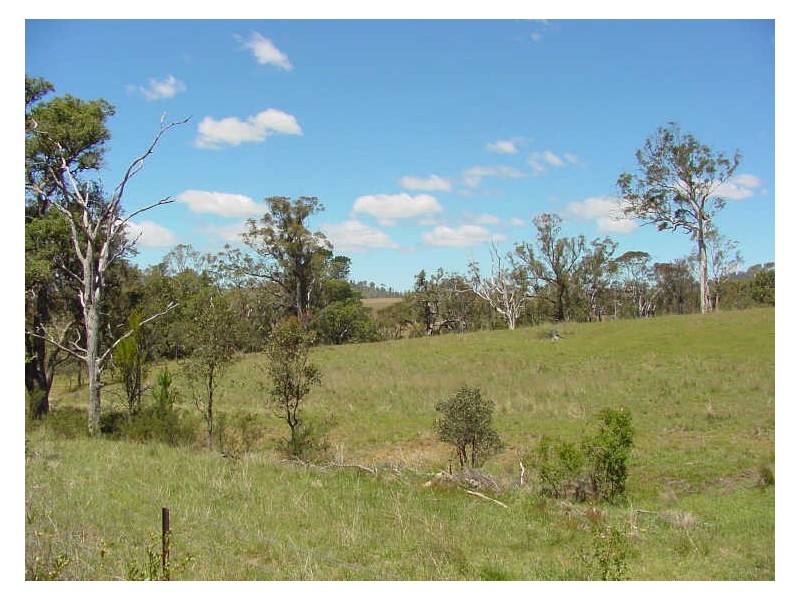Lot 1 Tantawanglo Lane, Candelo NSW 2550