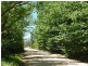 Lot 1 Tantawanglo Lane, Candelo NSW 2550