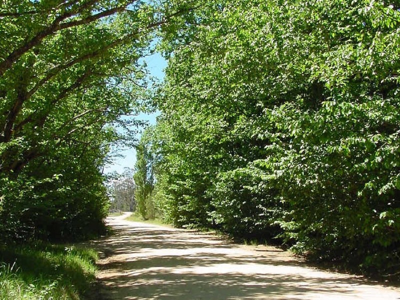 Lot 1 Tantawanglo Lane, Candelo NSW 2550