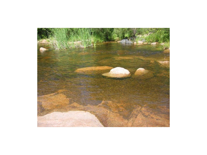Lot 1 Tantawanglo Lane, Candelo NSW 2550