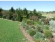 71 Max Slater Drive, Bega NSW 2550