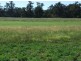 Lot 3201 Tarraganda Lane, Bega NSW 2550