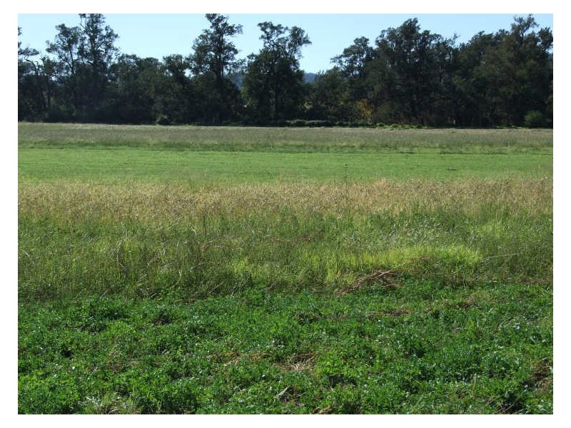Lot 3201 Tarraganda Lane, Bega NSW 2550