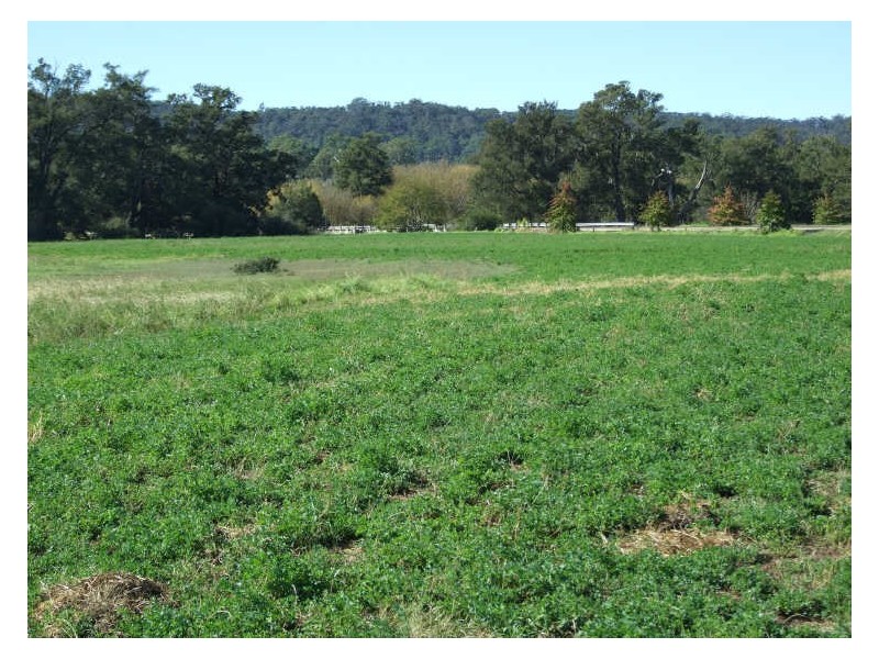 Lot 3201 Tarraganda Lane, Bega NSW 2550