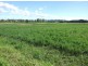 Lot 3201 Tarraganda Lane, Bega NSW 2550