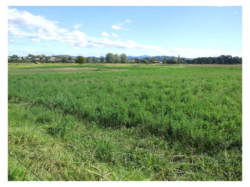 Lot 3201 Tarraganda Lane, Bega NSW 2550