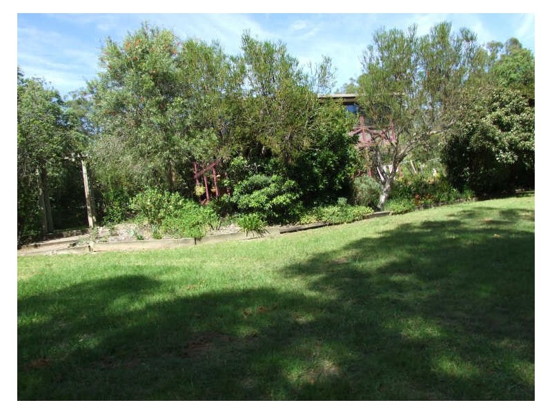 475 Wyndham Lane, Candelo NSW 2550