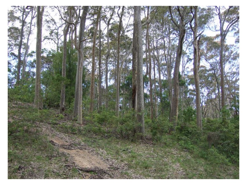 Lot 93 George Street, Bermagui NSW 2546